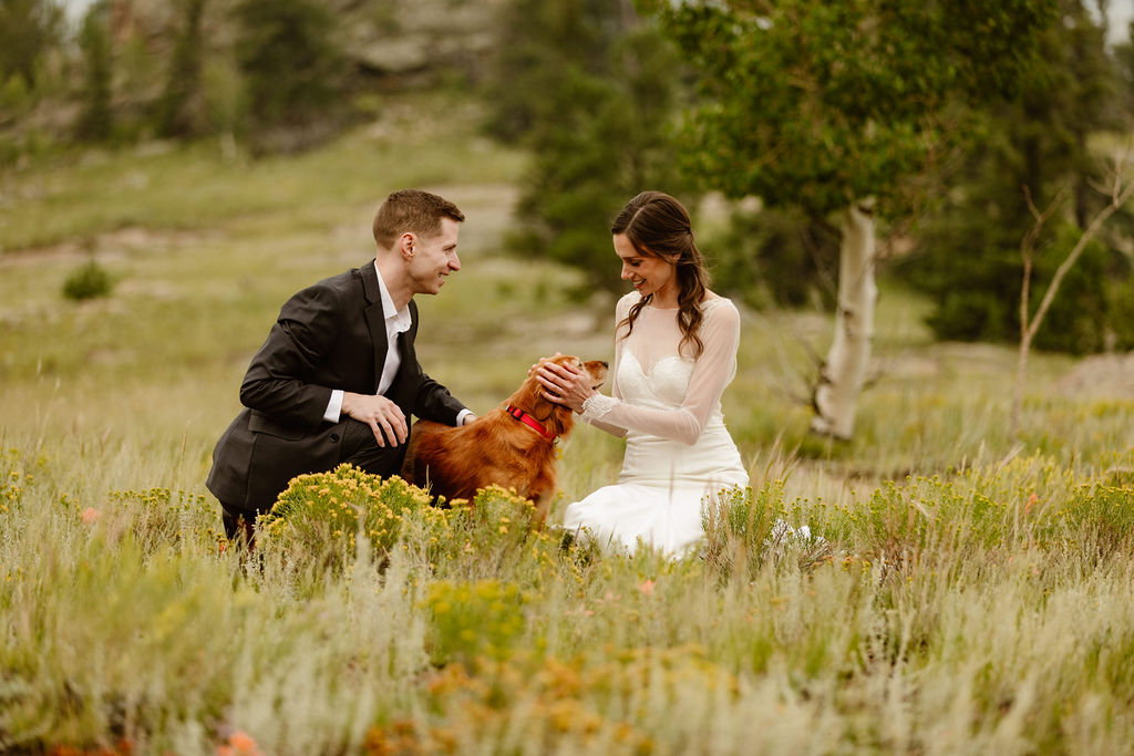 a couple in wedding attire hugging on their tan coat dog in tall grass during their colorado elopement