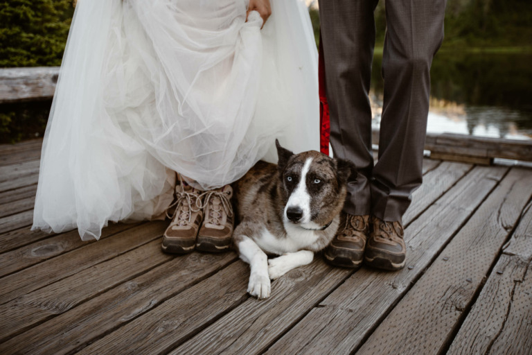 Eloping With Your Dog – Ultimate Guide for Couples
