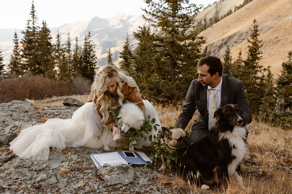 a couple and their dogs signing their colorado marriage license outdoors with mountains in the backdrop