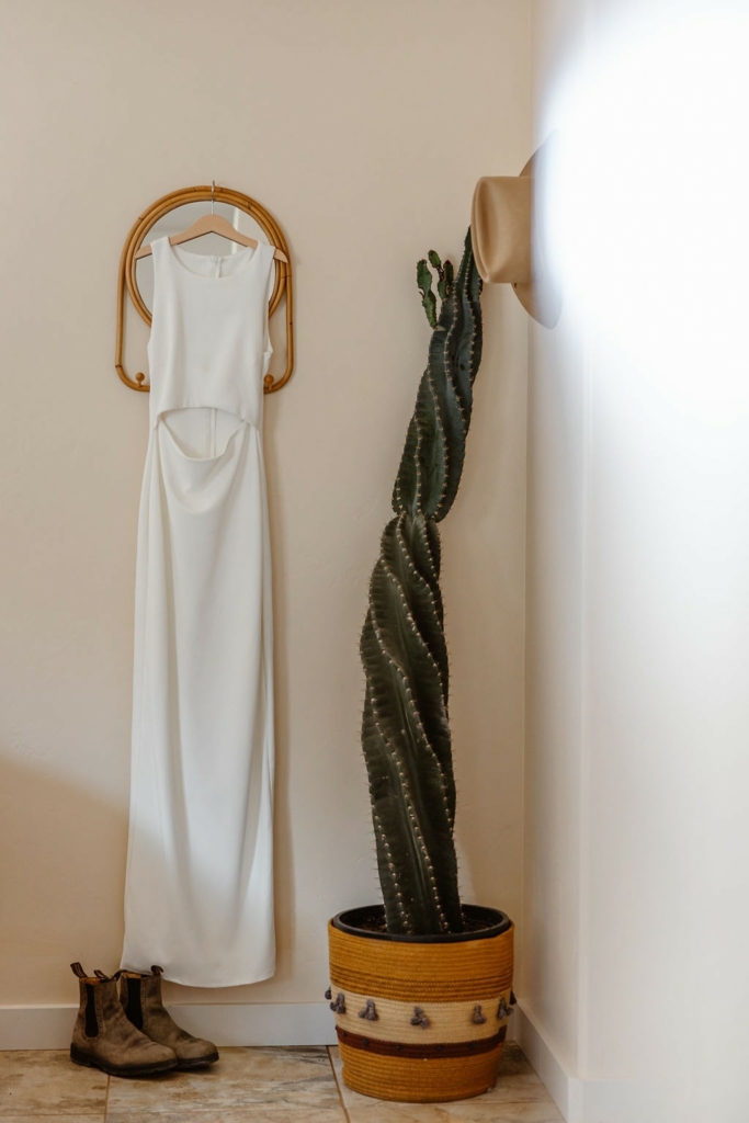 a white wedding dress hanging on a beige wall next to a very tall cacti